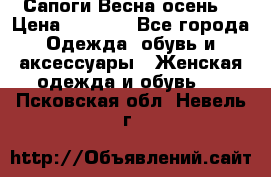 Сапоги Весна осень  › Цена ­ 1 700 - Все города Одежда, обувь и аксессуары » Женская одежда и обувь   . Псковская обл.,Невель г.